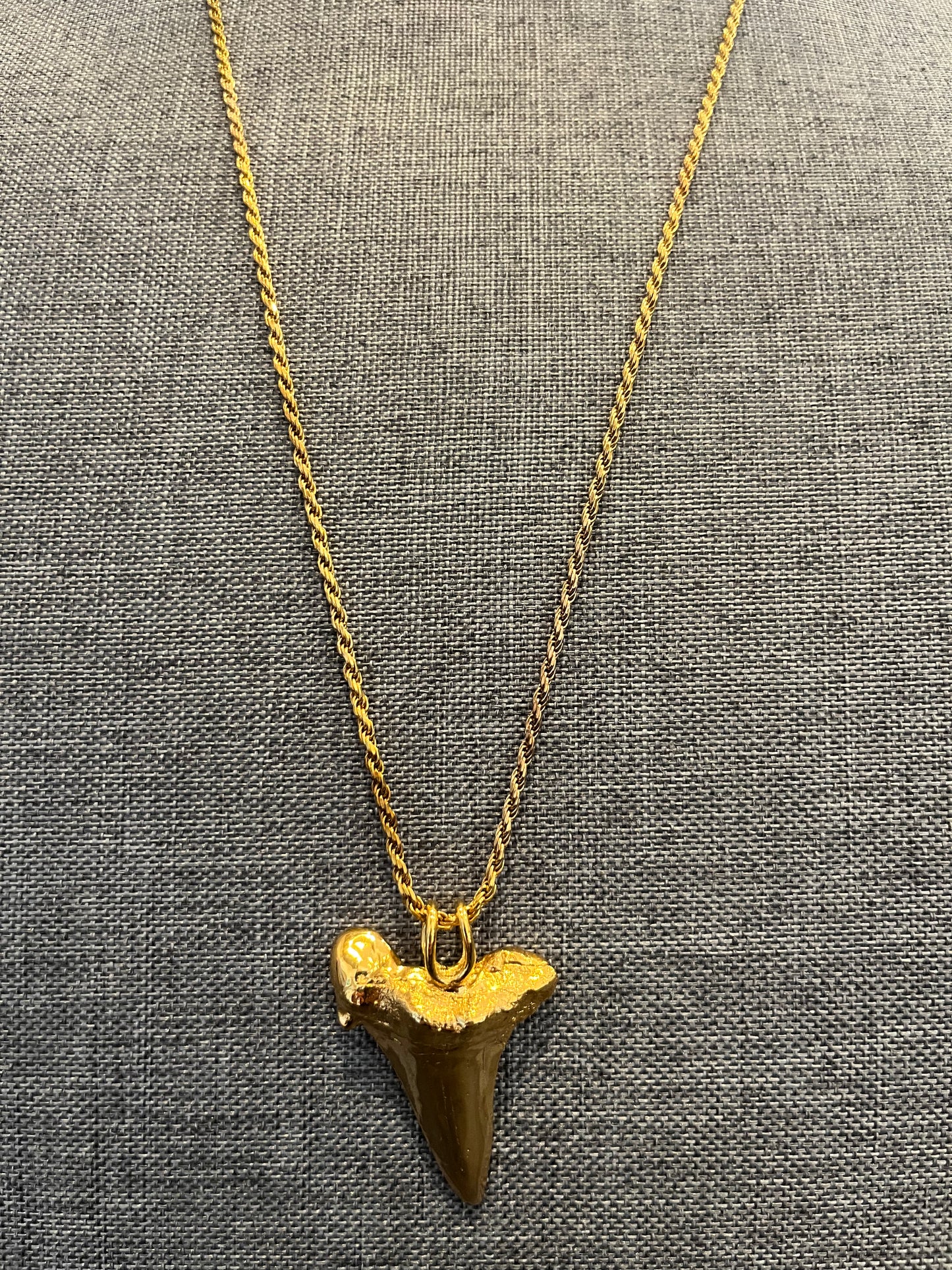 Bronze Shark Tooth Necklace 14kt Gold