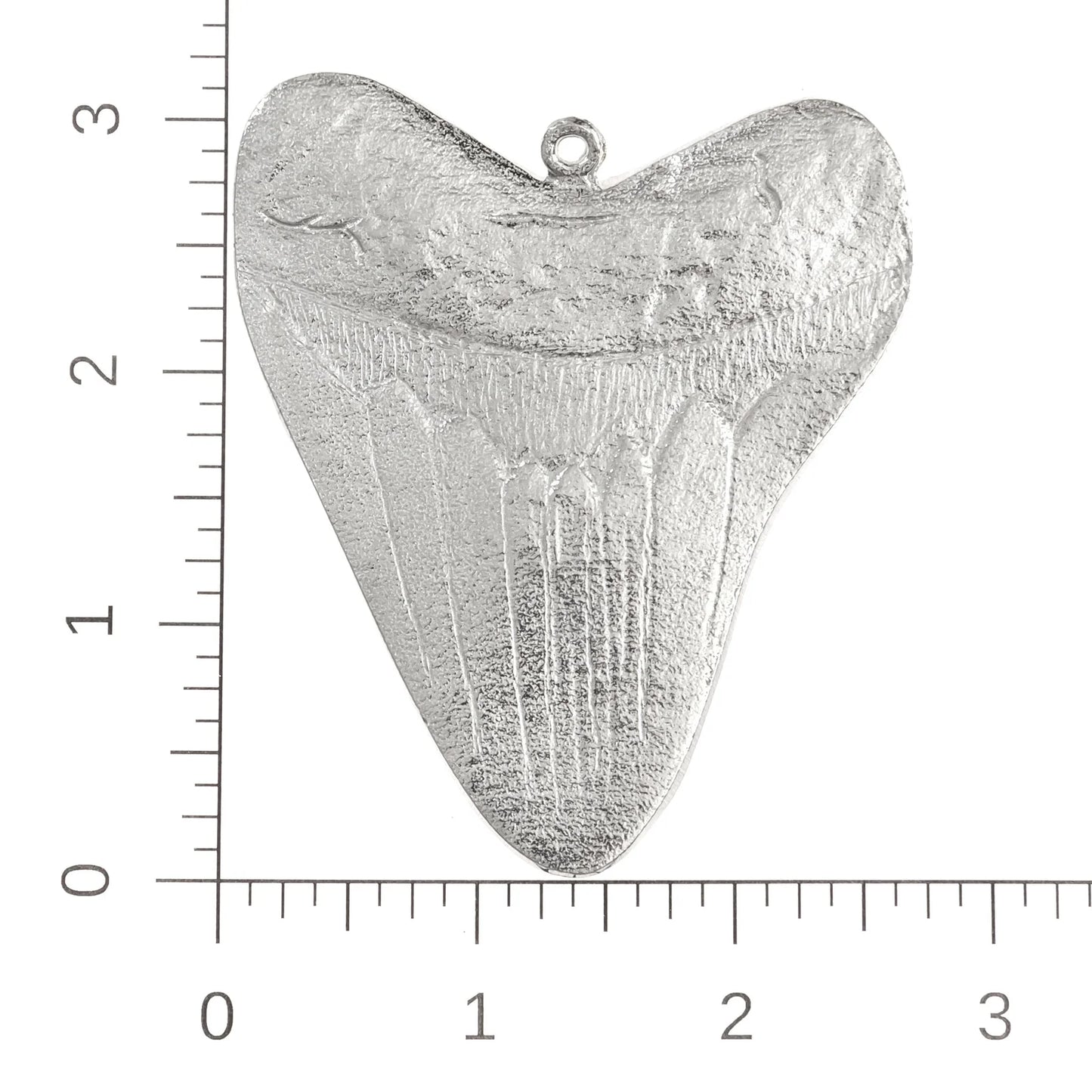 Large Megalodon Tooth Ornament