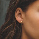 Shell Studs 10k Gold