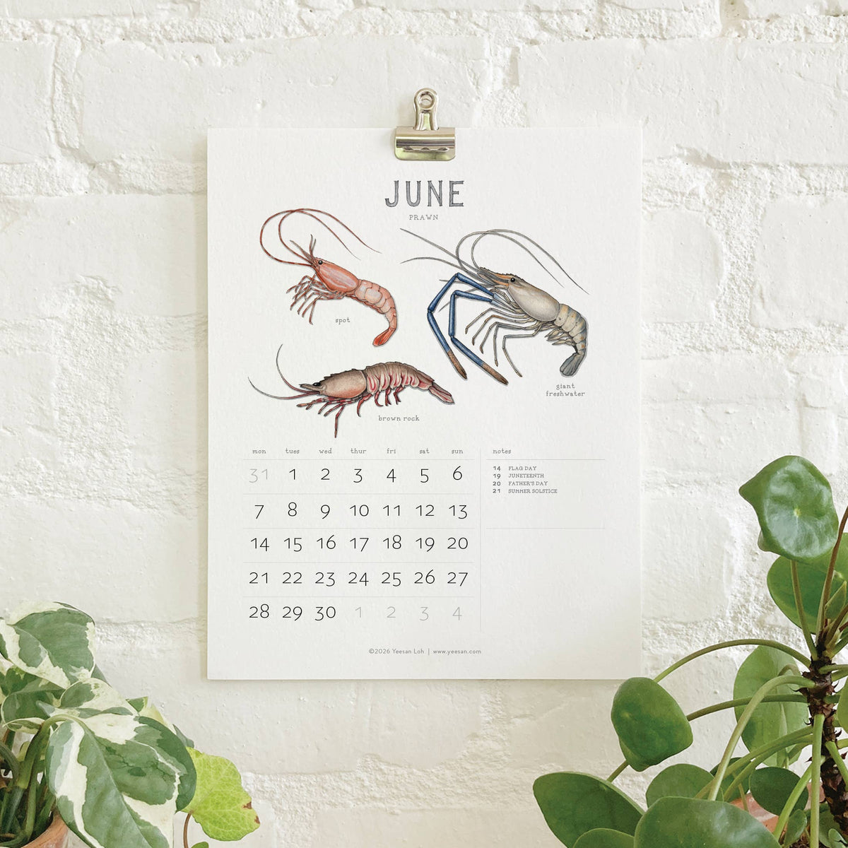 2027 Calendars: Shellfish