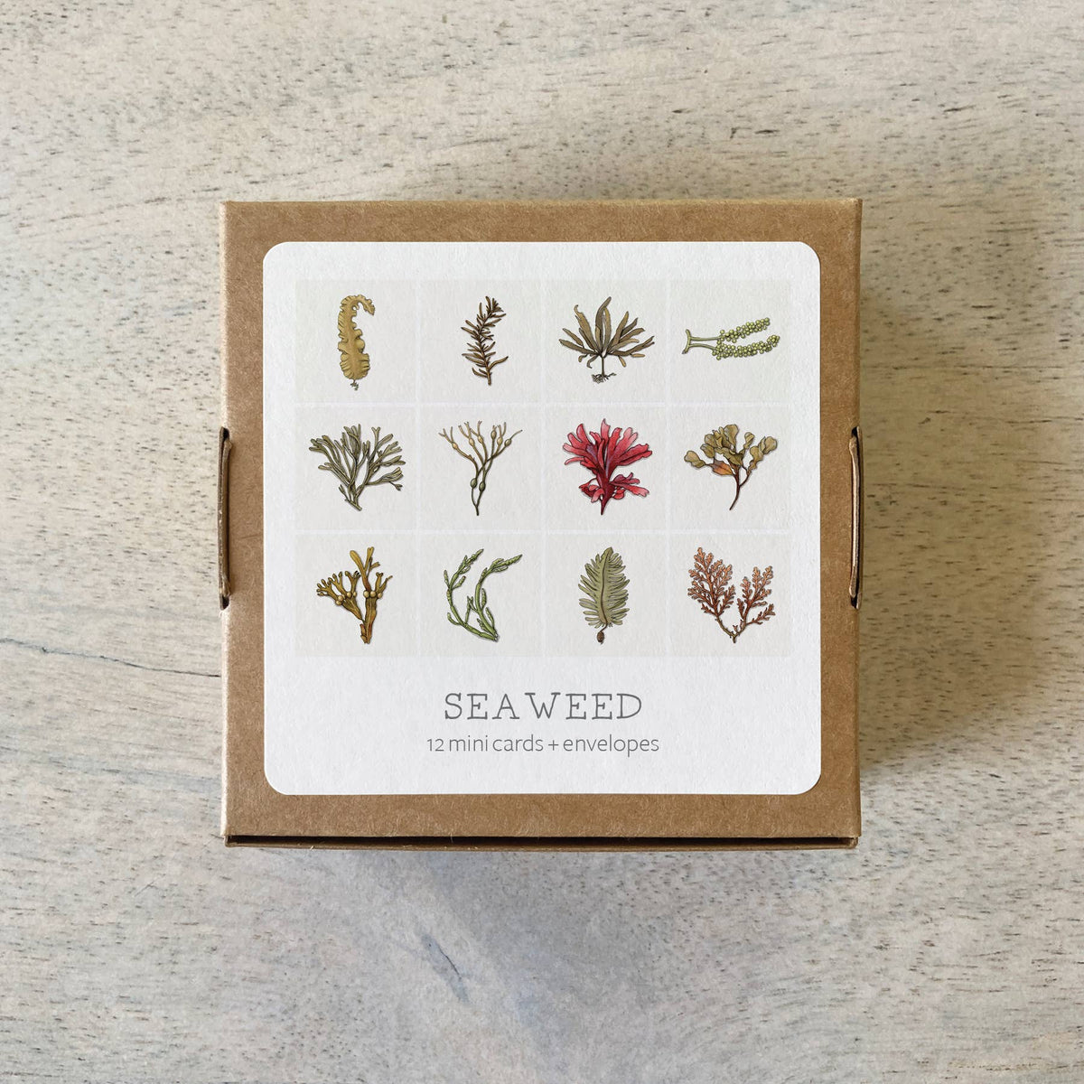 Mini Cards Set / Seaweed