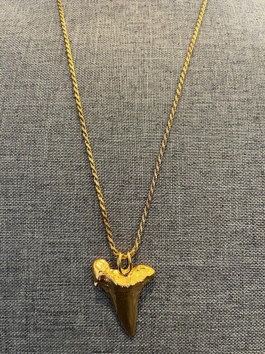 Bronze Shark Tooth Necklace 14kt Gold