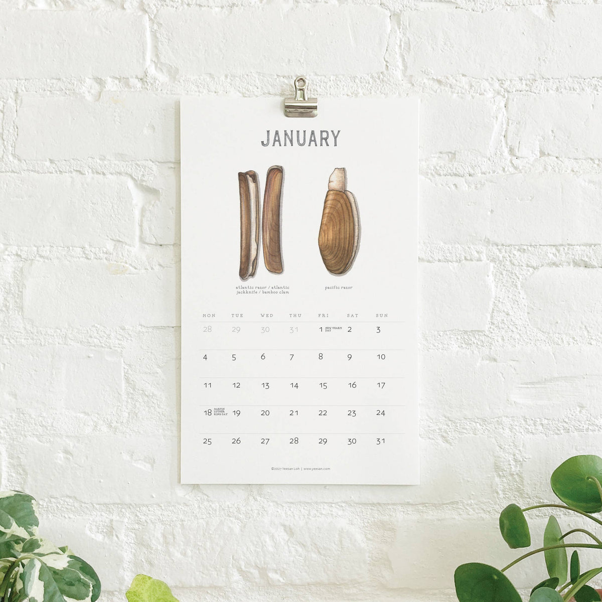 2027 Calendars: Shellfish