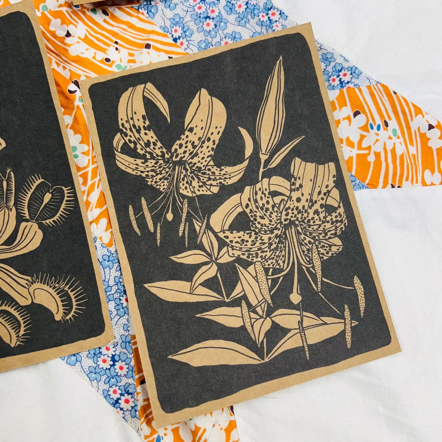 Nc Native Plant Pen Pal Cards 5pk