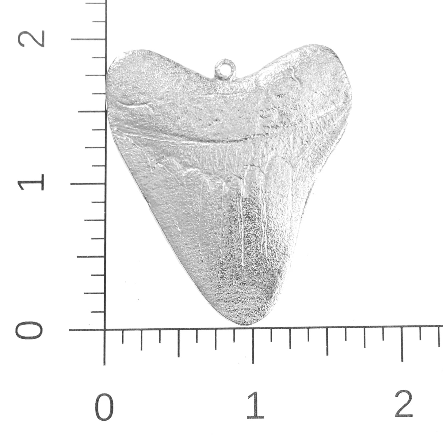 Small Megalodon Tooth Ornament