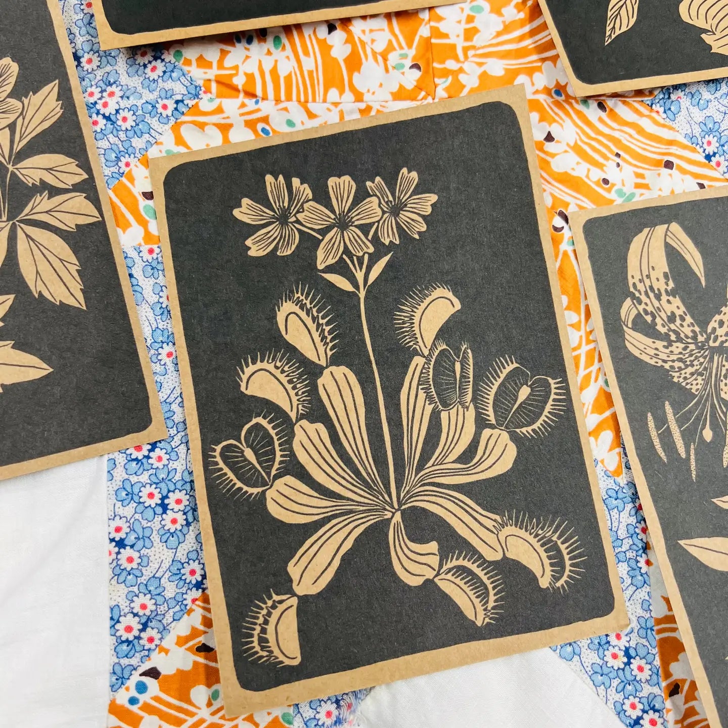 Nc Native Plant Pen Pal Cards 5pk