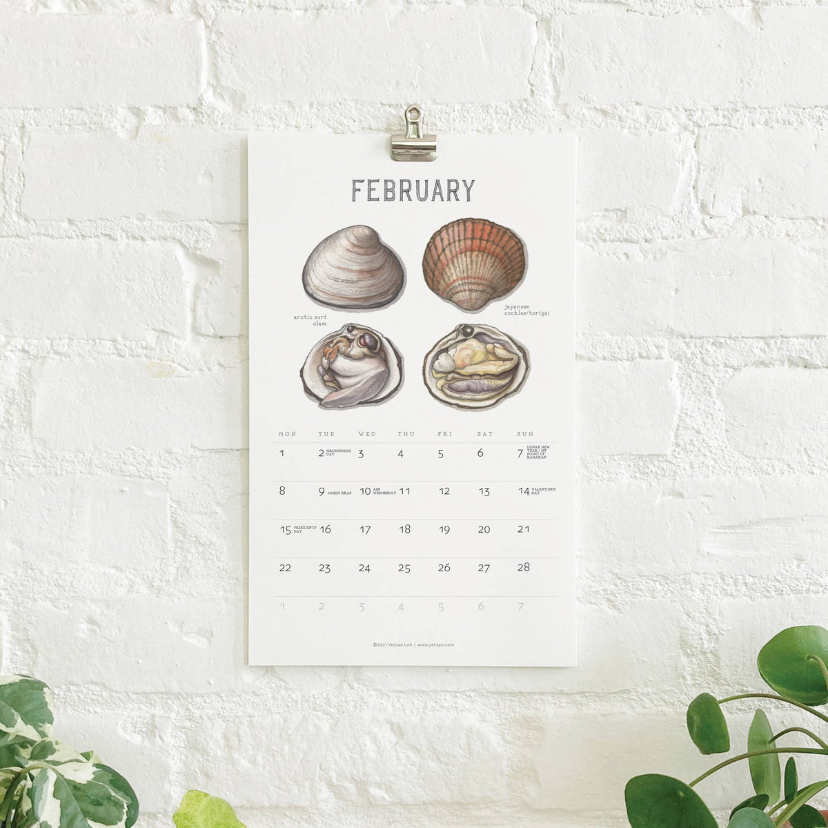 2027 Calendars: Shellfish