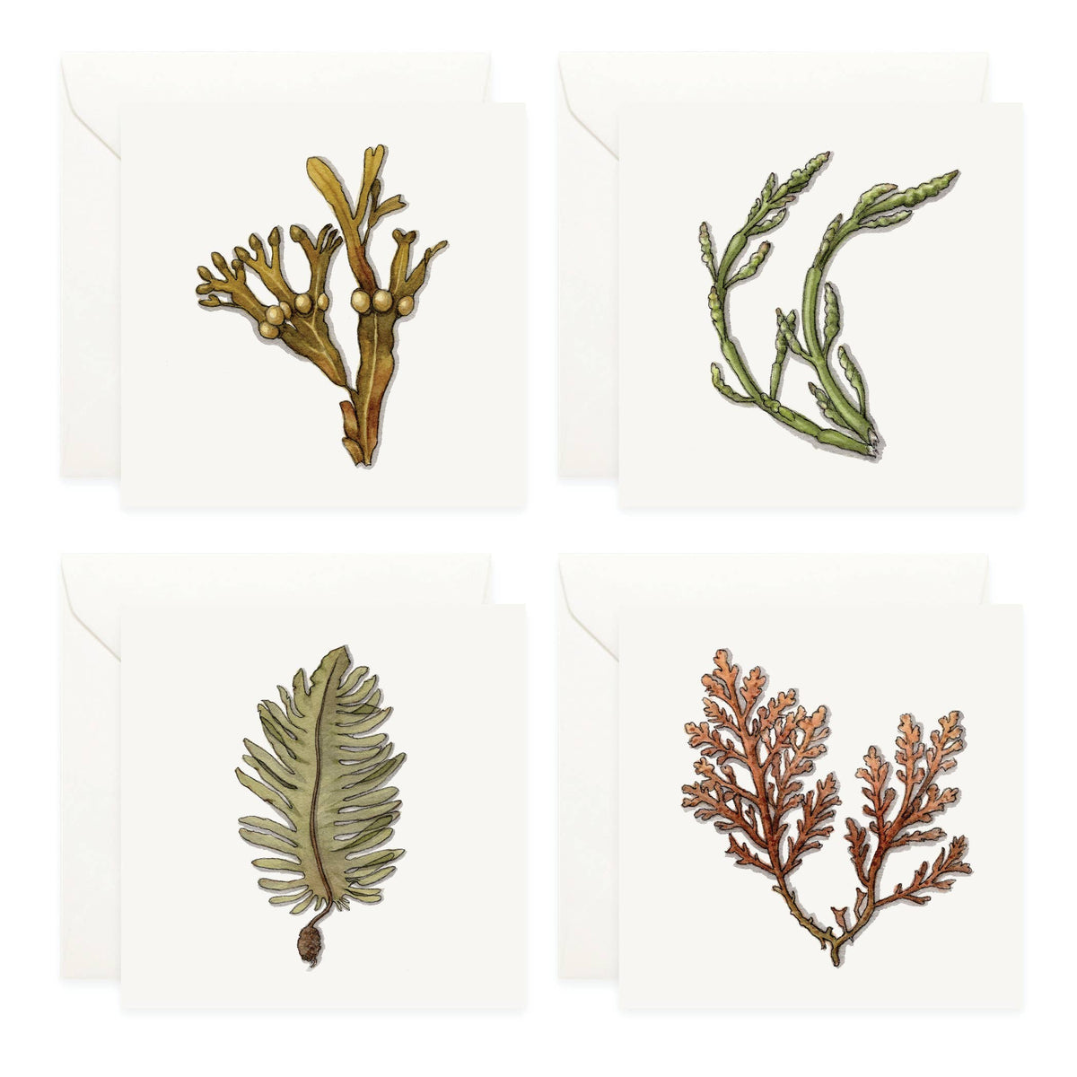 Mini Cards Set / Seaweed