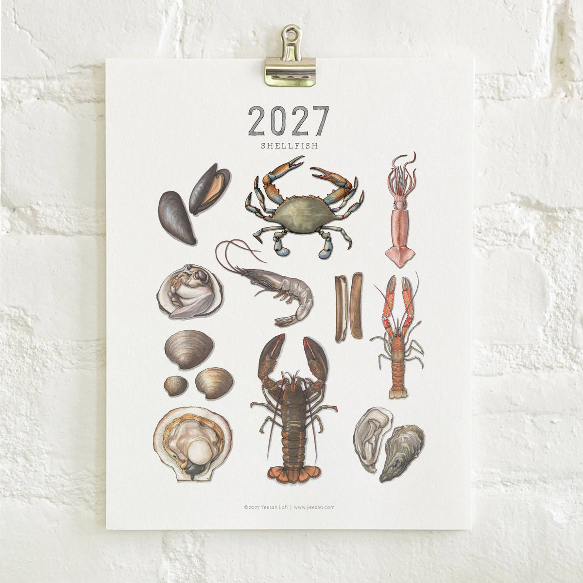 2027 Calendars: Shellfish