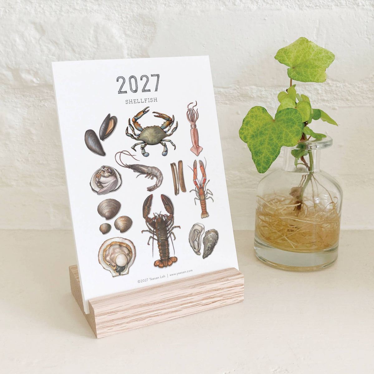 2027 Calendars: Shellfish