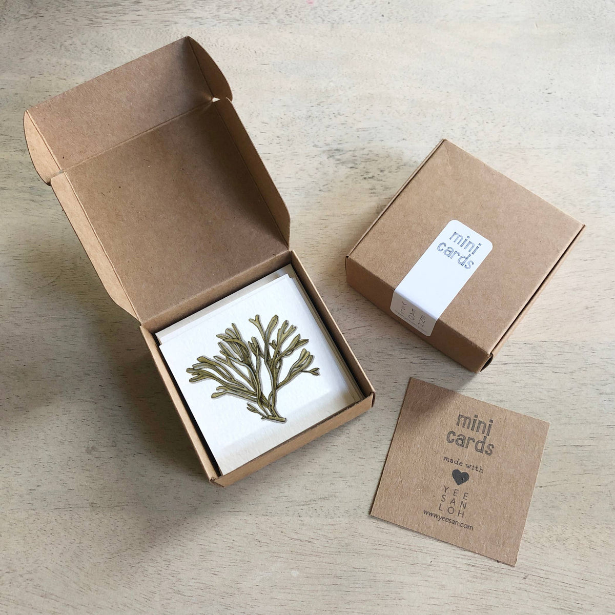 Mini Cards Set / Seaweed