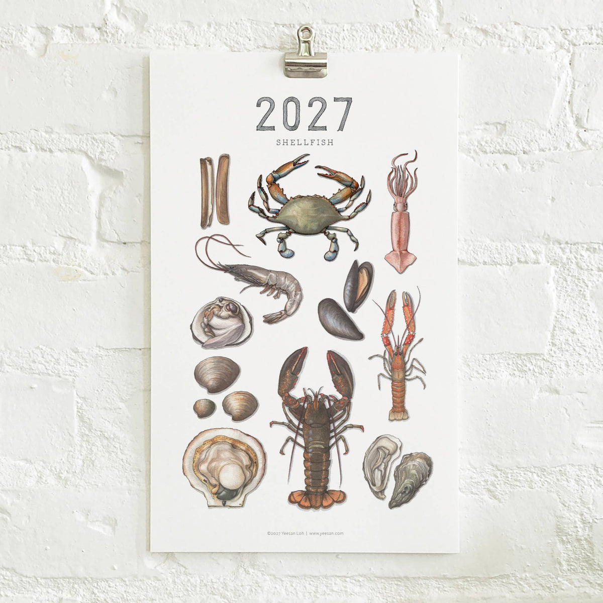 2027 Calendars: Shellfish