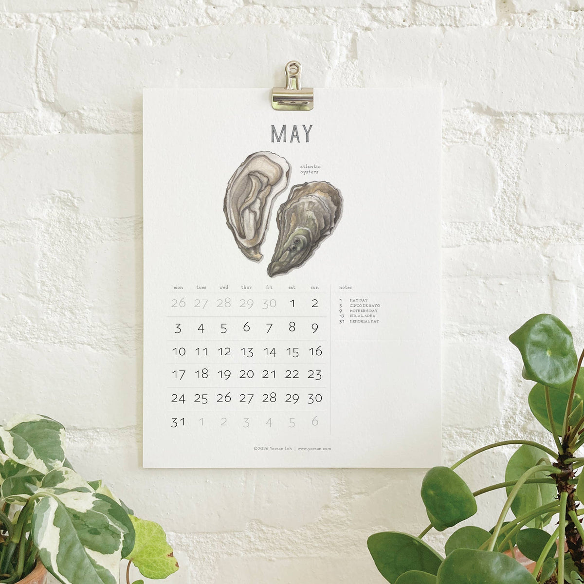 2027 Calendars: Shellfish