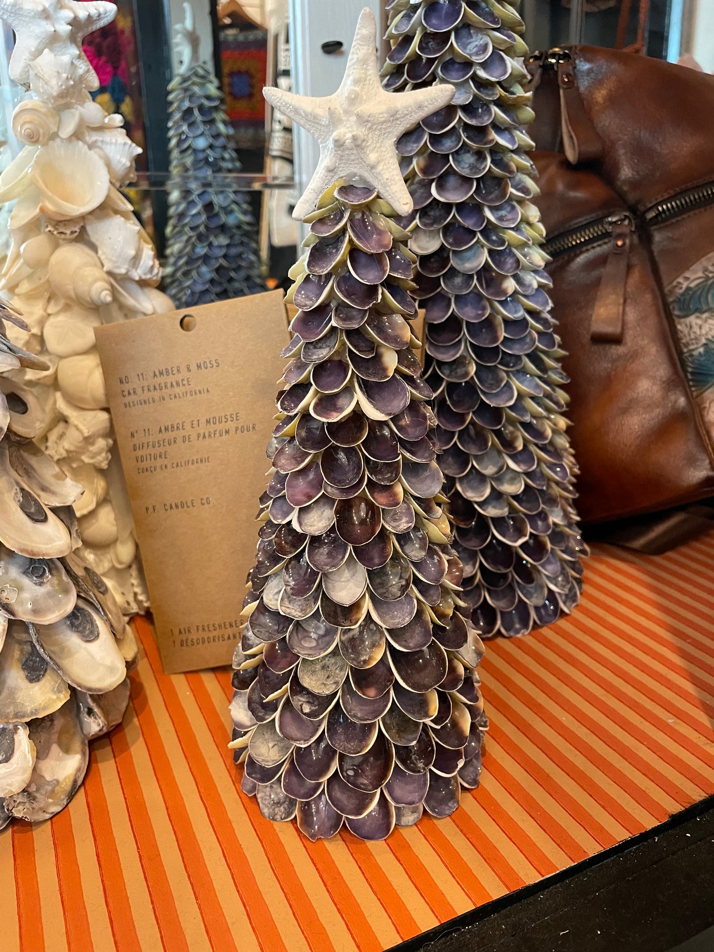 Sweetbay Cut Cowrie Tree Medium