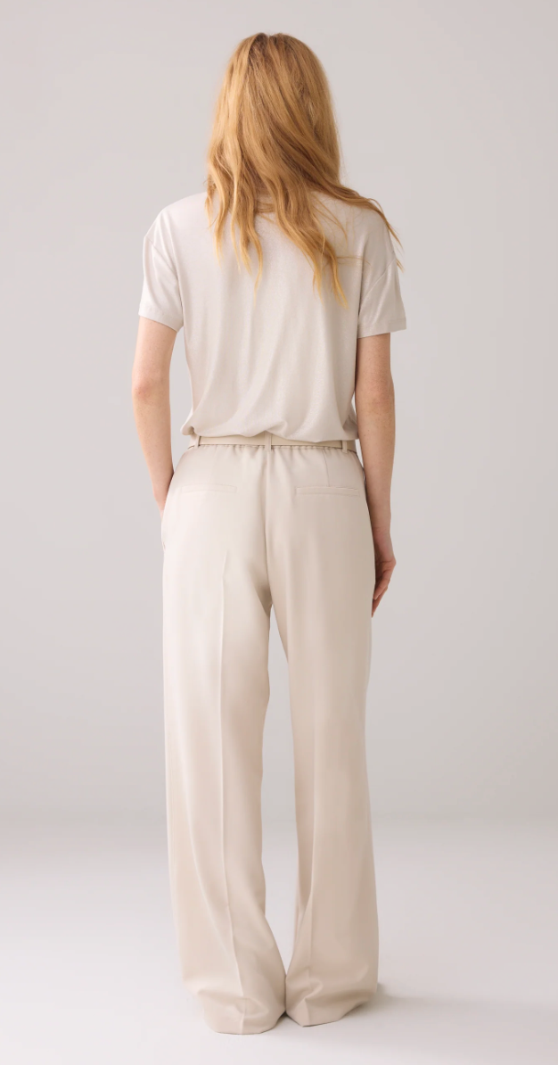 Shiny V-Neck Top Beige