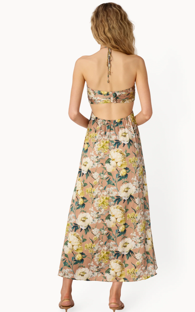 Calliope Maxi Dress