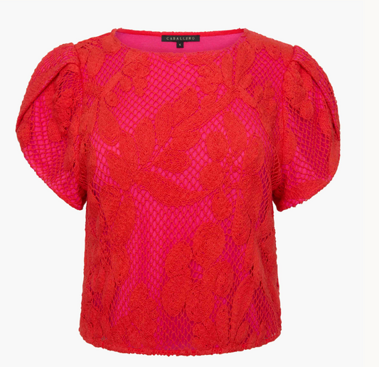 Judy Top
