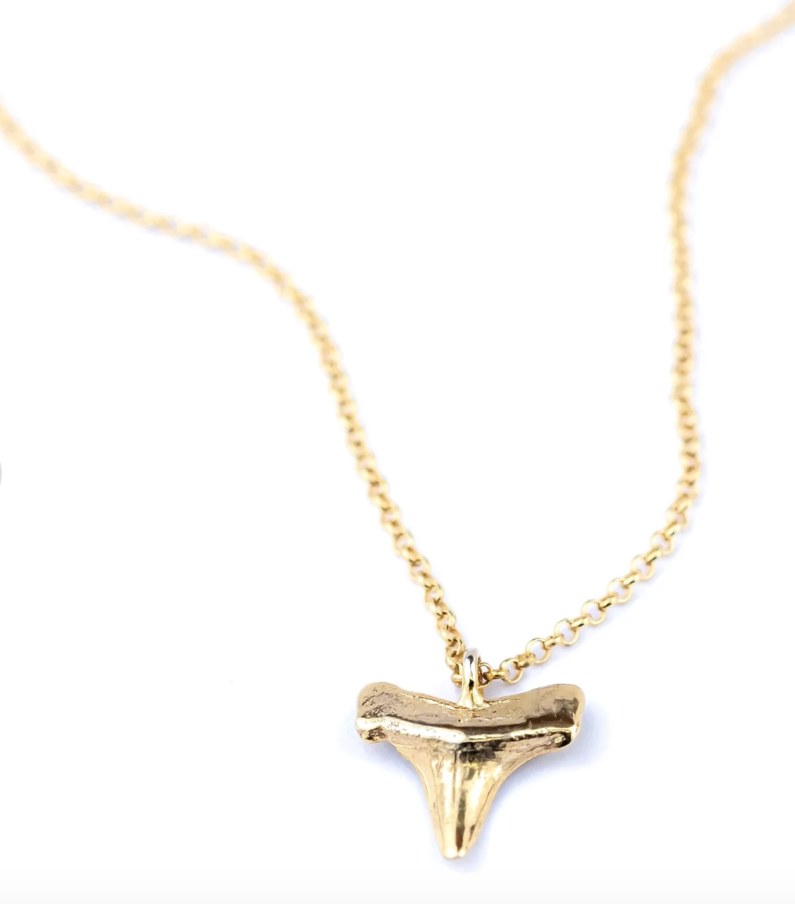 Shark Tooth Necklace - PVD