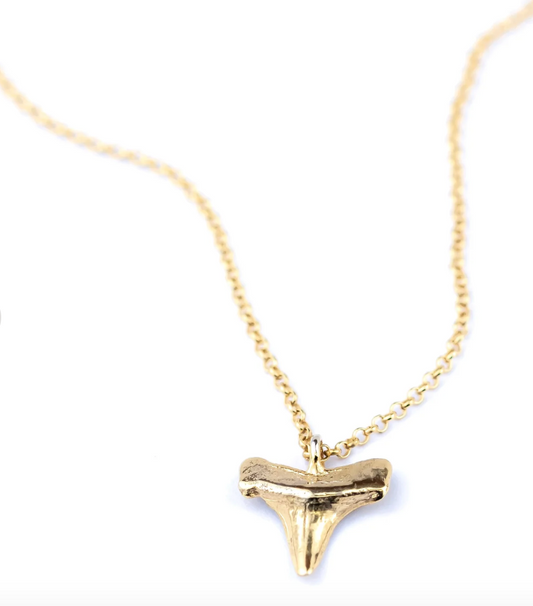 Shark Tooth Necklace - PVD