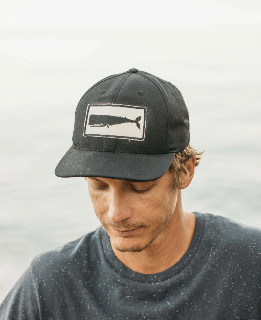 Whale Patch Hat