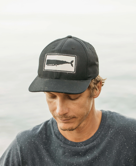 Whale Patch Hat