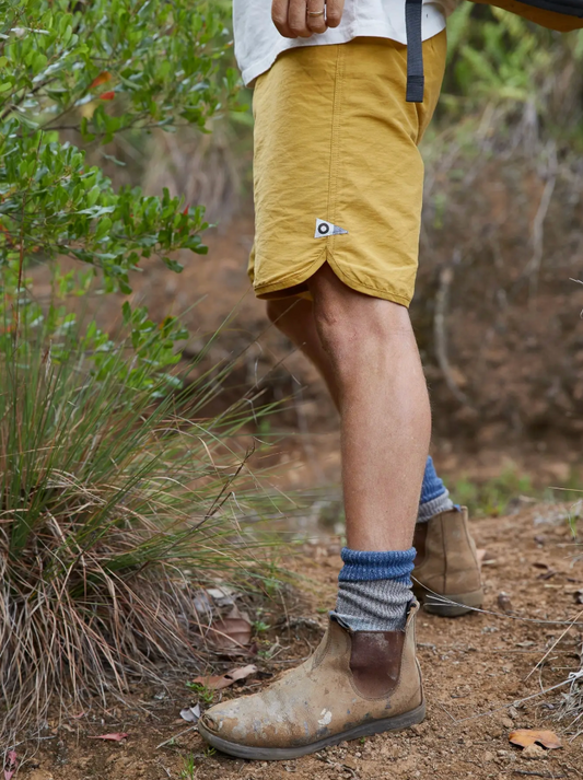 Scallop Trunks