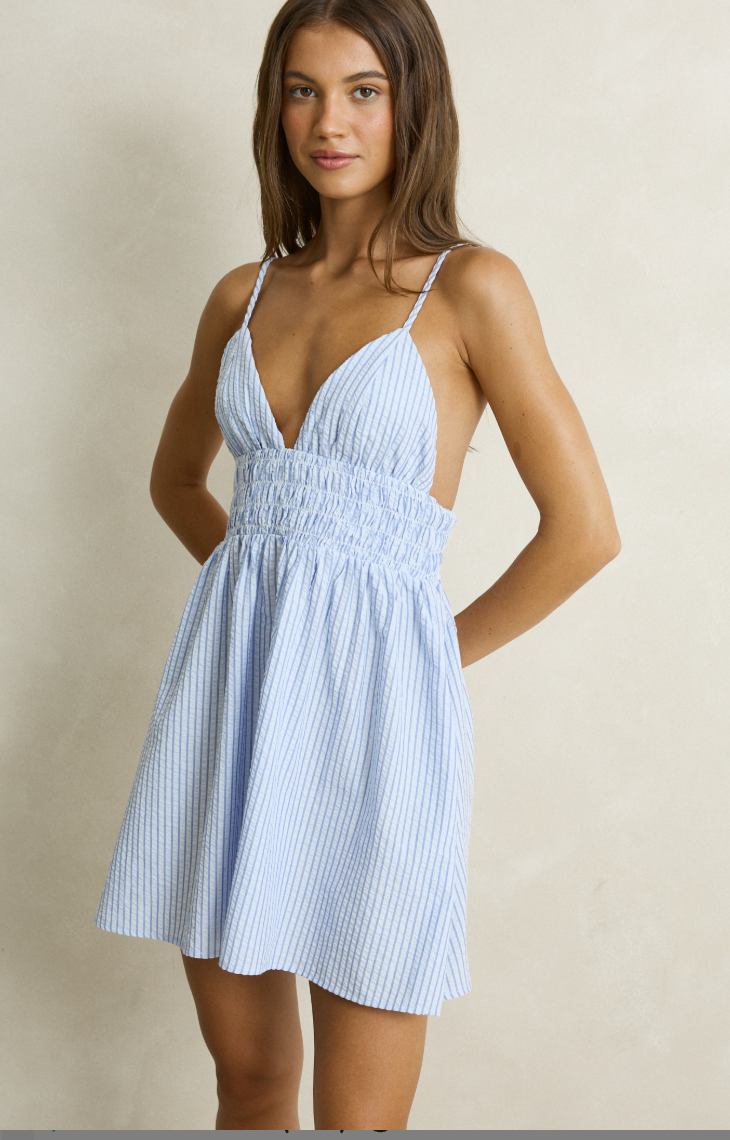 Vista Stripe Mini Dress