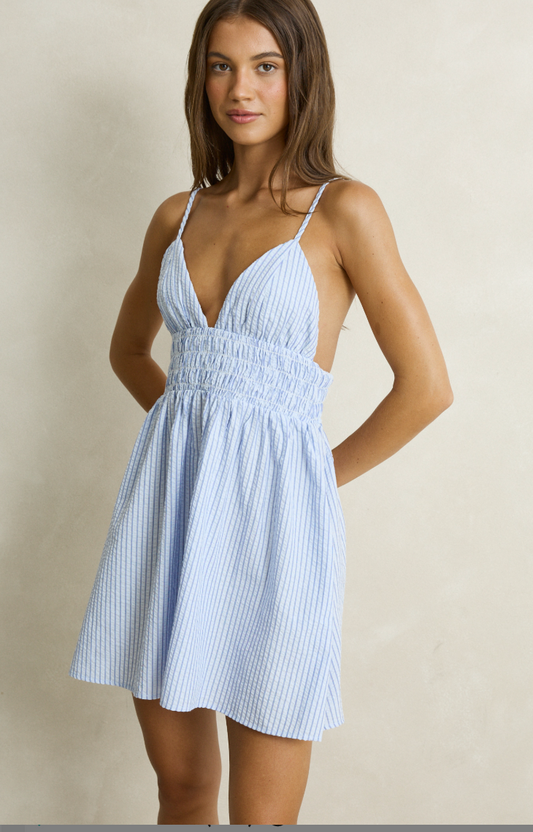 Vista Stripe Mini Dress