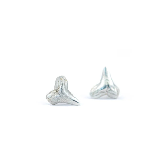 Shark Teeth Studs Silver