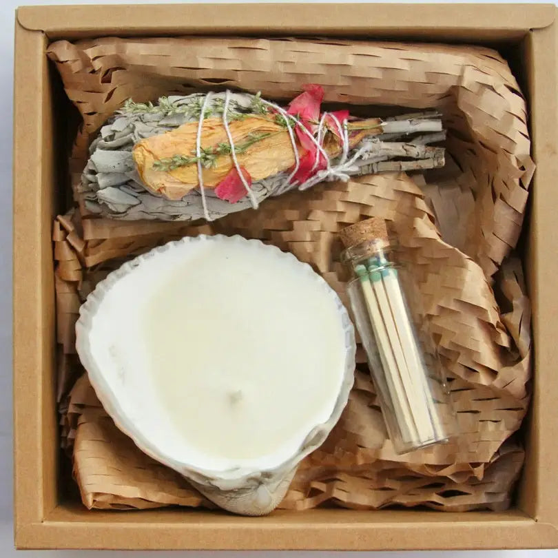Shell Gift Box