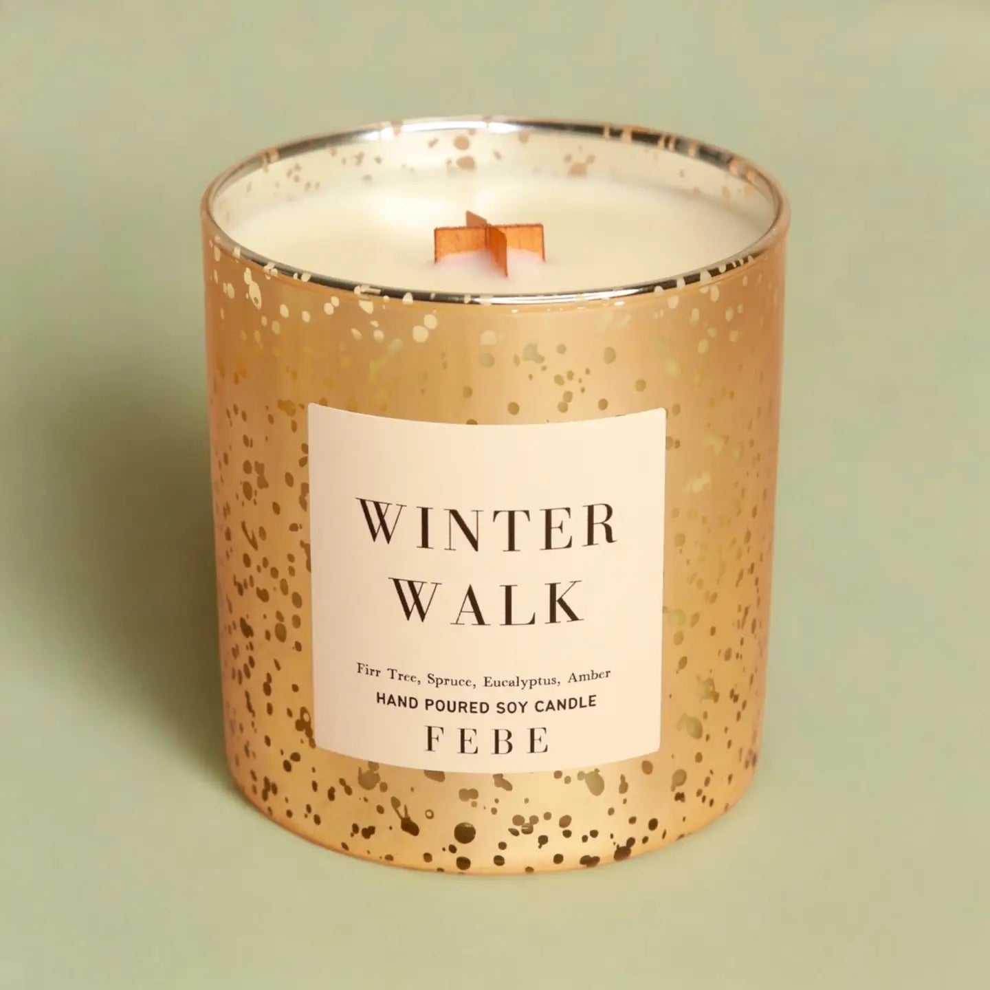 Winter Walk