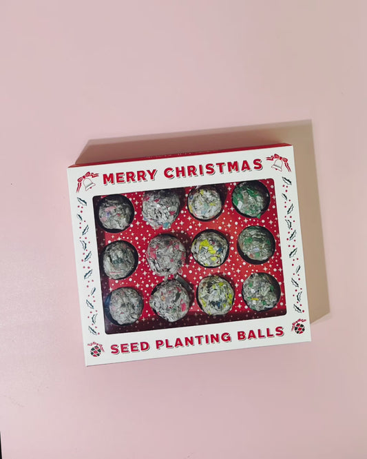 12 Days of Planting Seeds