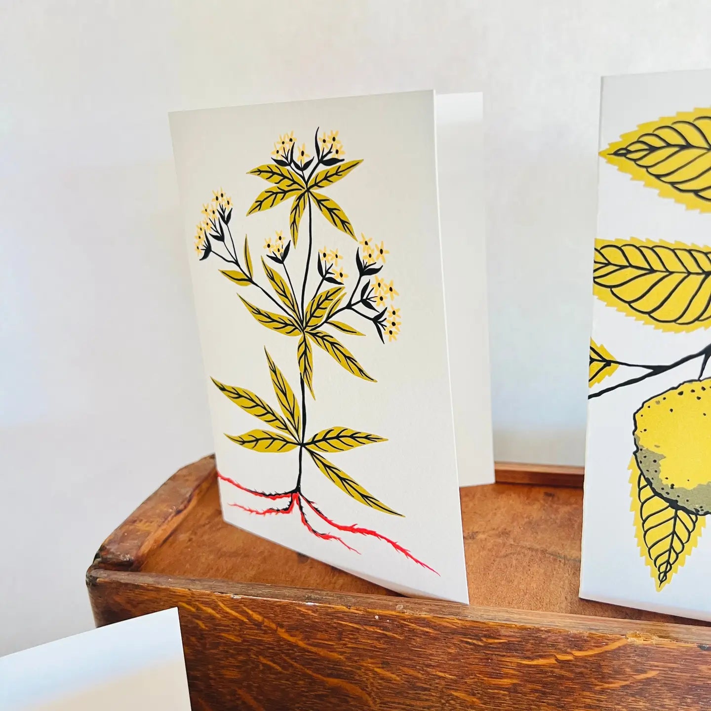 Natural Dye Plant Pen Pal Cards 5pk