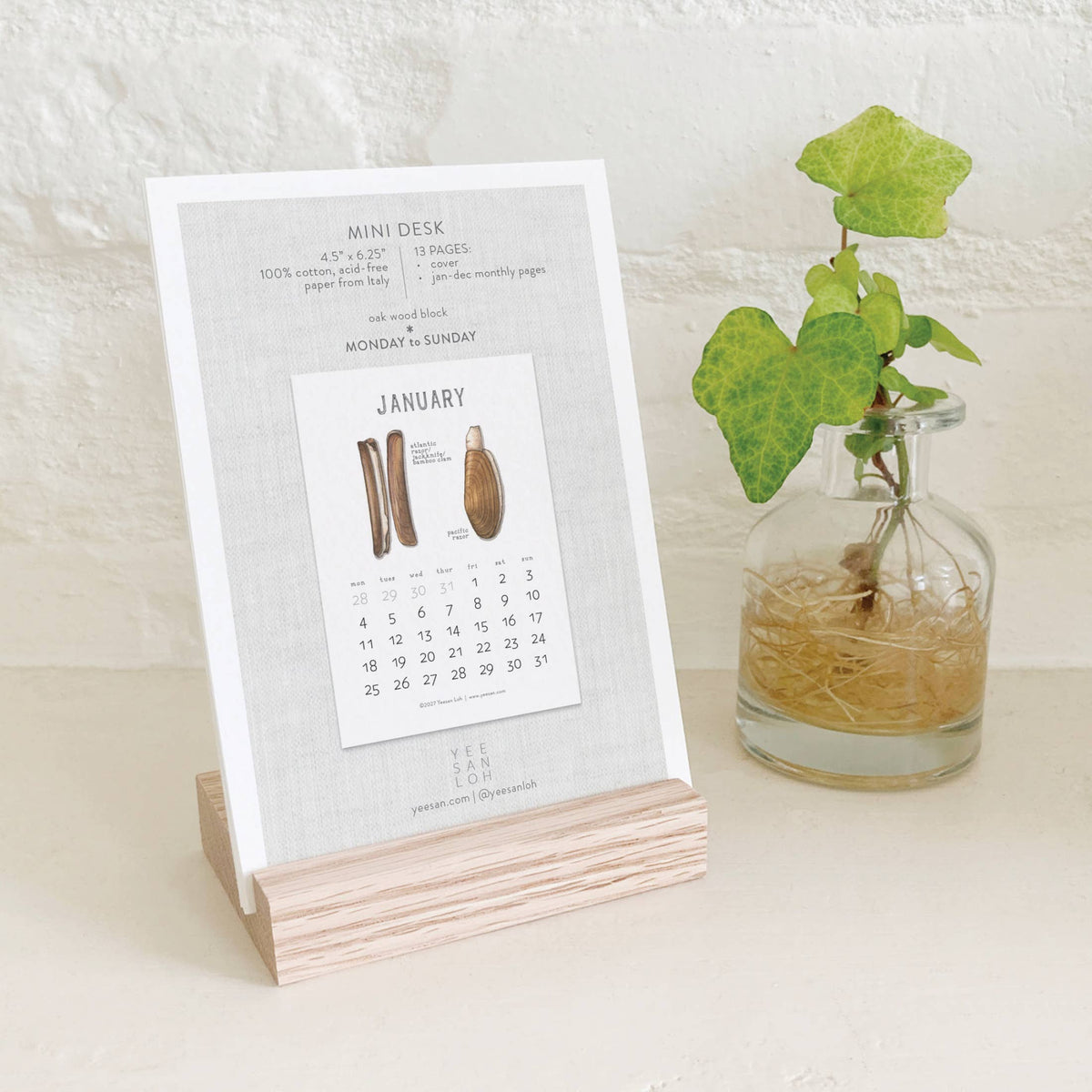 2027 Calendars: Shellfish
