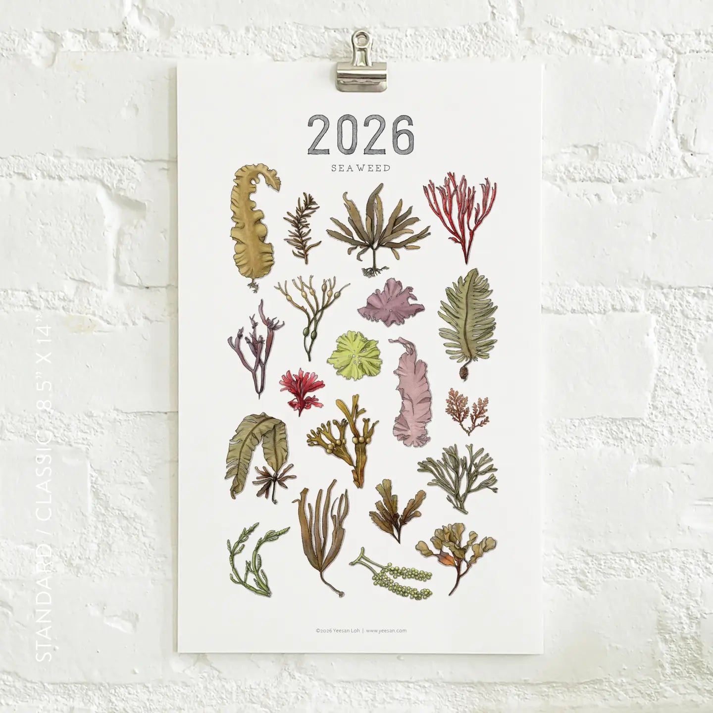 2026 Calendar: Seaweed
