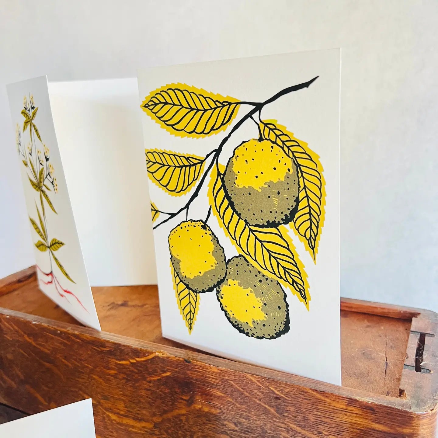 Natural Dye Plant Pen Pal Cards 5pk