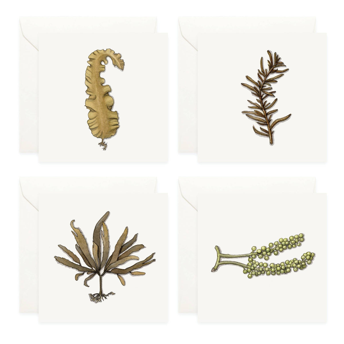Mini Cards Set / Seaweed