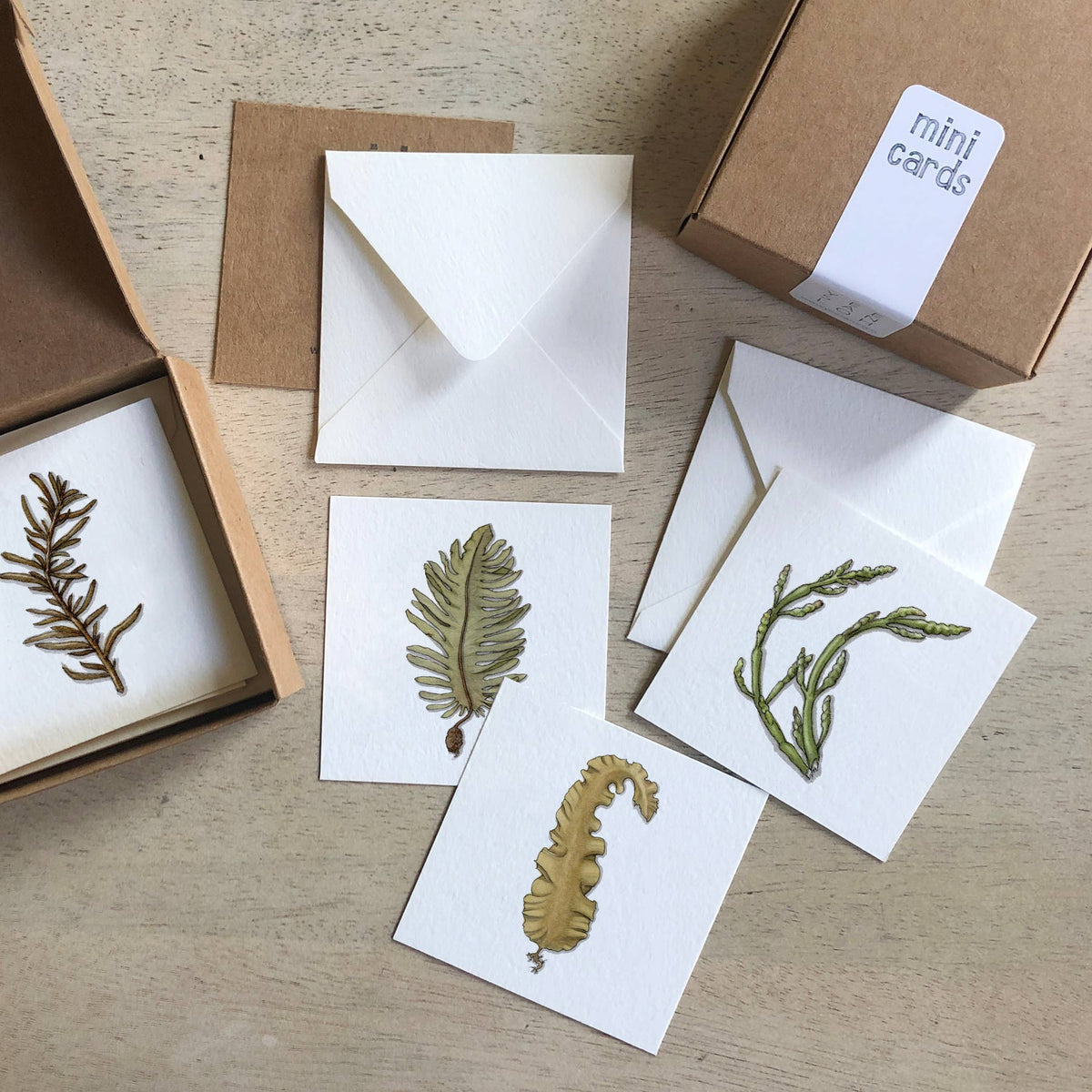 Mini Cards Set / Seaweed