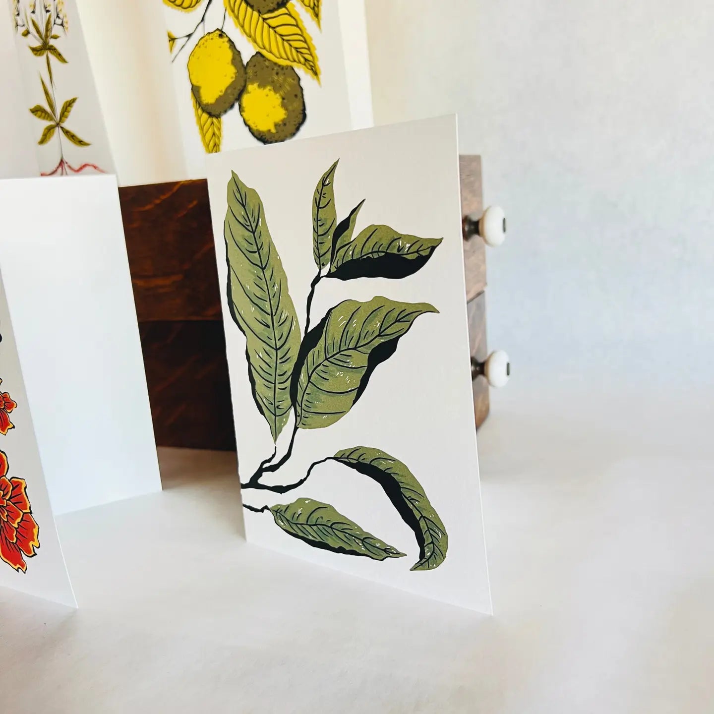Natural Dye Plant Pen Pal Cards 5pk
