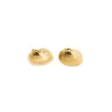 Shell Studs 10k Gold