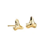 Shark Teeth Studs 10k Gold