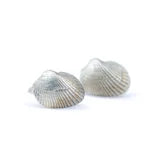 Shell Studs Silver