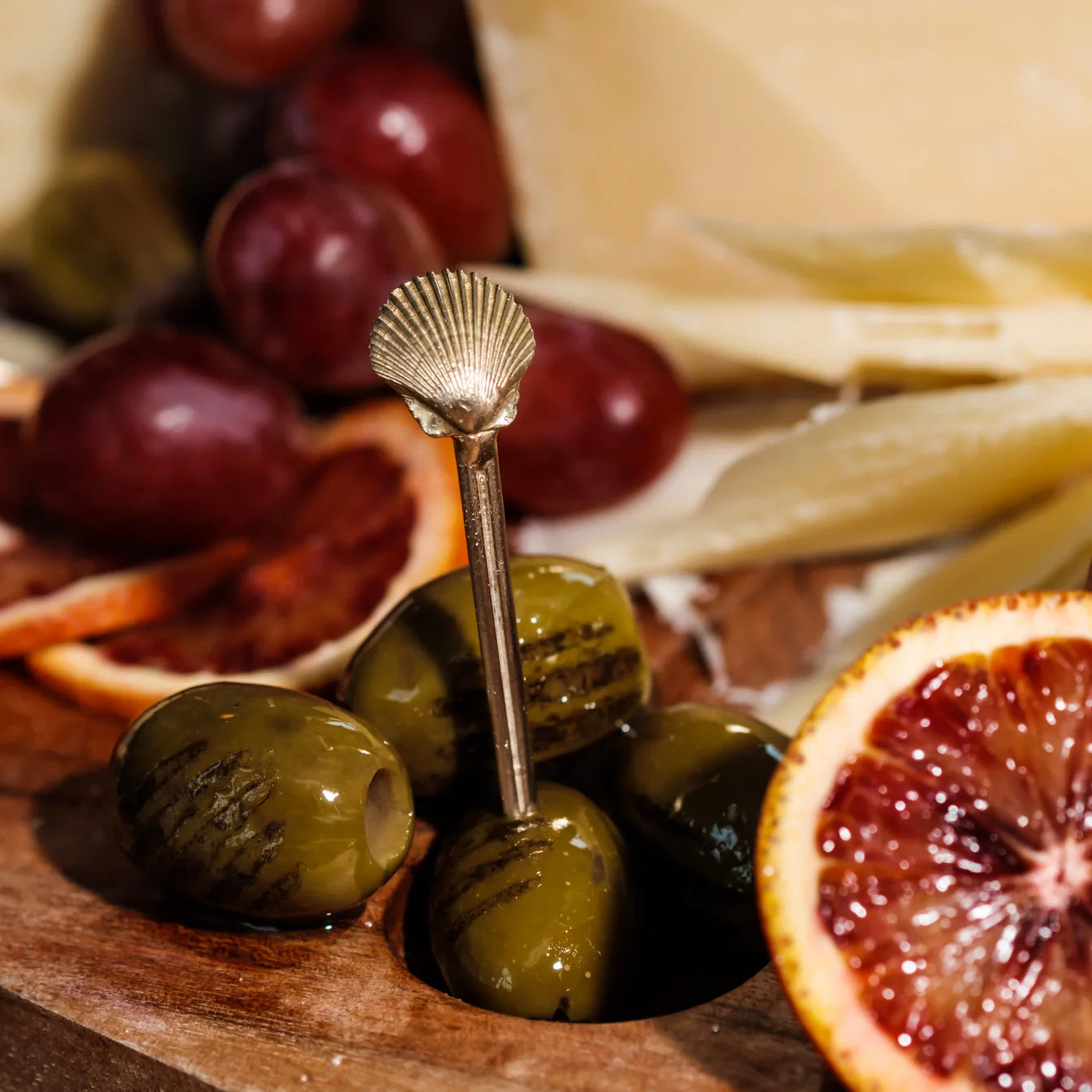 Shell Picks - Set of 4