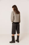 darla shorts